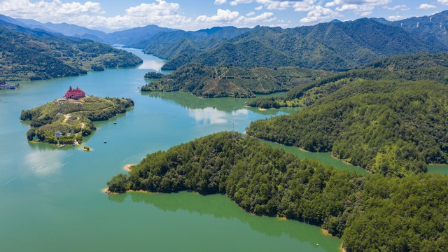 福建有哪些水果？从东南沿海的甜蜜宝藏到乡村野果，一场味蕾上的冒险之旅即将展开