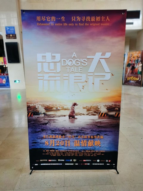 超乎想象！哪些地方用到千米，从深海探测到太空探索，再到日常生活的方方面面