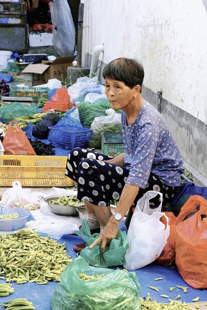 崇福镇怎么样：从千年古城到现代时尚小镇的华丽转身，带你领略江南水乡的魅力与活力