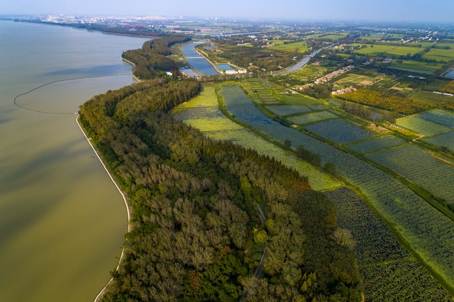 洪泽湖湿地公园怎么样：探索苏北最大淡水湿地，享受四季变换的自然之美与丰富活动