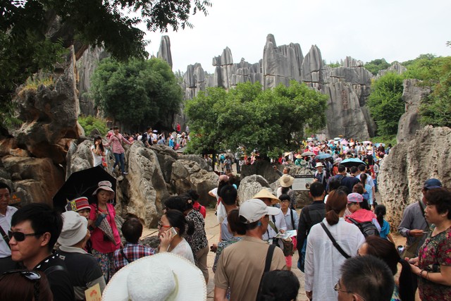云南旅游旺季涨价多少？2024年冬季去云南玩真的值回票价，你绝对想不到的价格波动！