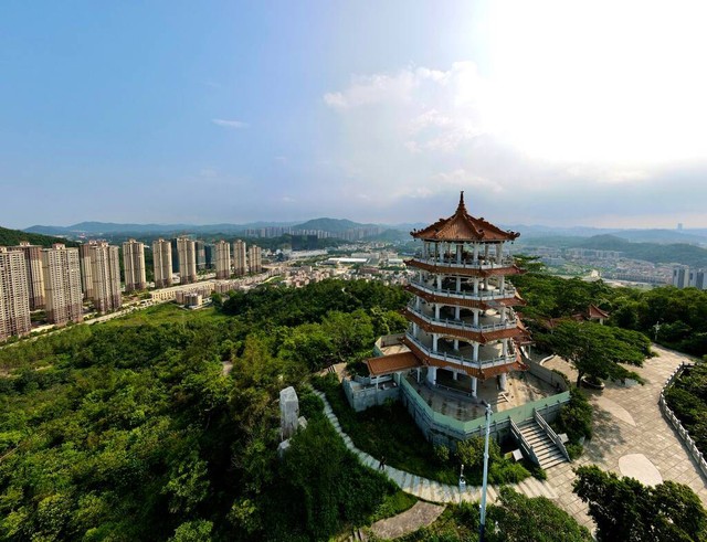 鹤山公园怎么样：从森林氧吧到城市绿肺，鹤山人的幸福密码