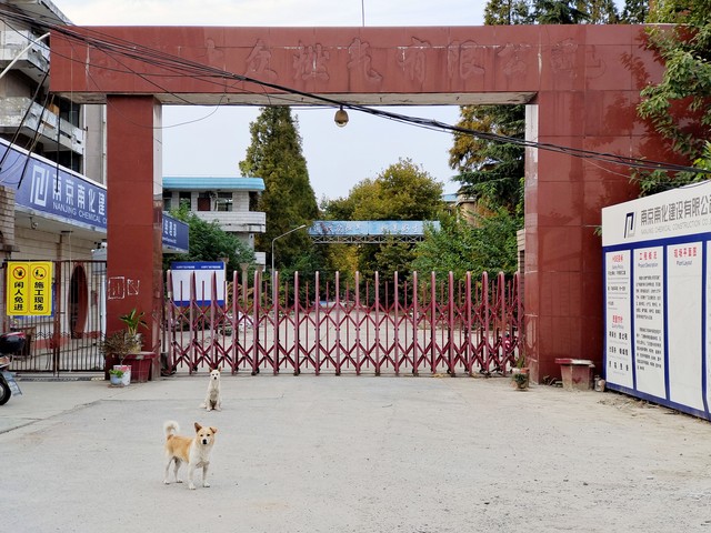 肥西肥光小学怎么样：一所传承红色血脉，让每颗童心在关爱中成长的学校