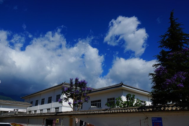 欢迎光临大理学院宾馆：探索那片被遗忘的世外桃源，体验不一样的大学生活，感受最真实的校园风情