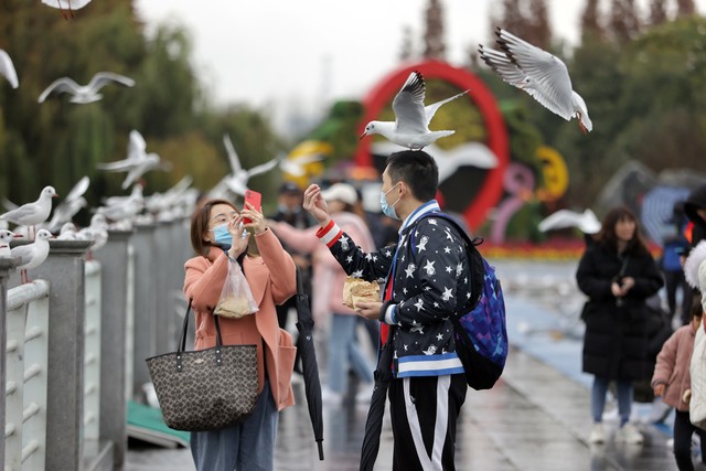 如何推广旅游产品？2024年最新攻略，轻松让你的旅游产品火遍全网，成为游客心中的首选！