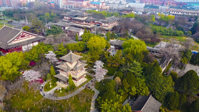 九朝古都是哪个城市？洛阳，这座承载着华夏文明厚重历史的城市，正等待着你的探寻！
