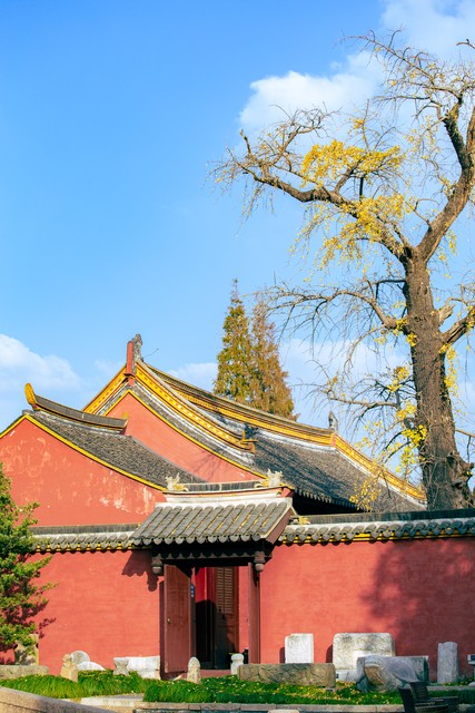 当满朝文武都能听到主的心声，当那道声音不再是秘密：一段穿越时空的奇遇记