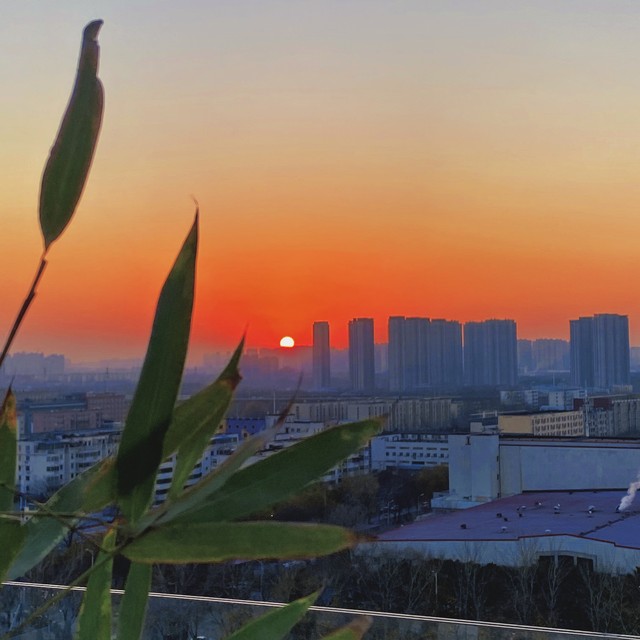 轻轻吟唱着这：从古老旋律到现代生活的温暖乐章，一段跨越时空的心灵之旅，带你走进那些被遗忘的角落，聆听每一个音符背后的动人故事