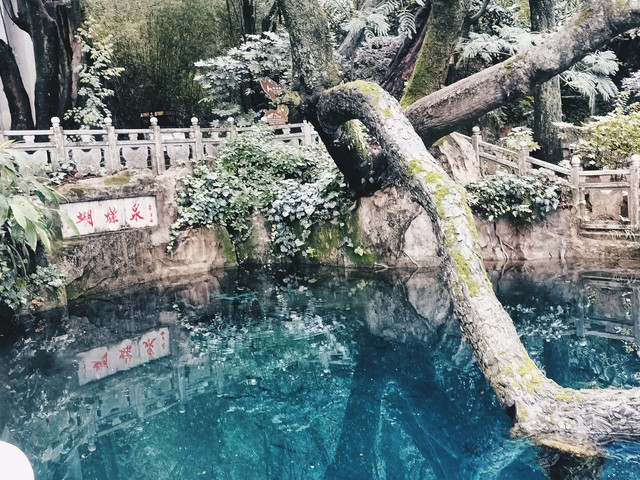 丽江大理的电影：从《五朵金花》到《去有风的地方》，看这两座城市如何用光影讲述中国故事