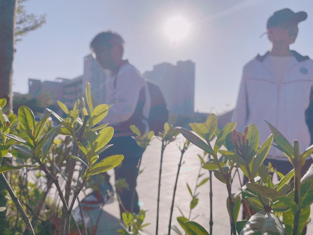 当梦想照进现实：什么时候云南丽江旅游好，探索四季变换中的绝美风情，带您走进那个让人魂牵梦绕的地方