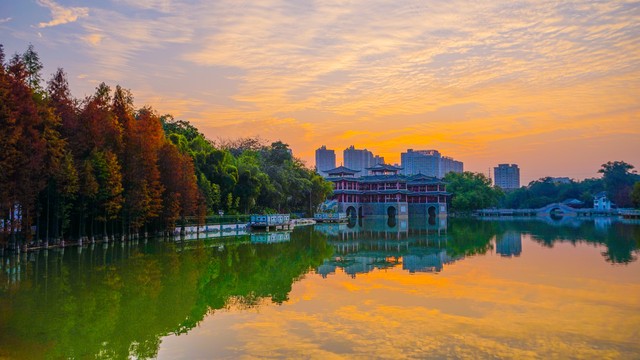 流花湖公园怎么去？2024年最新交通攻略，让你轻松抵达这座充满历史韵味与自然美景的城市绿洲