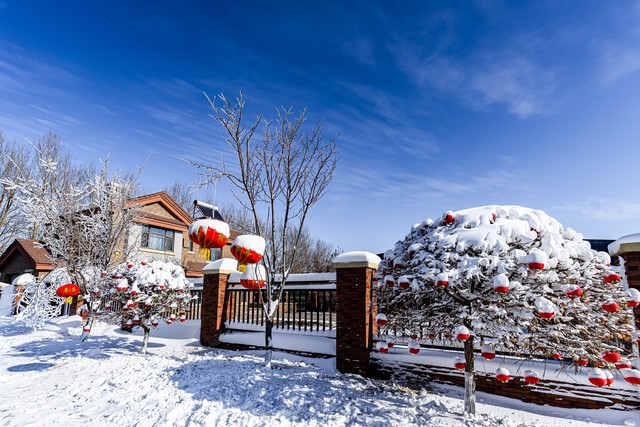 春节香格里拉旅游贵吗？2024年的你还在纠结这个问题吗？不纠结了，看完这篇攻略你就知道值不值！