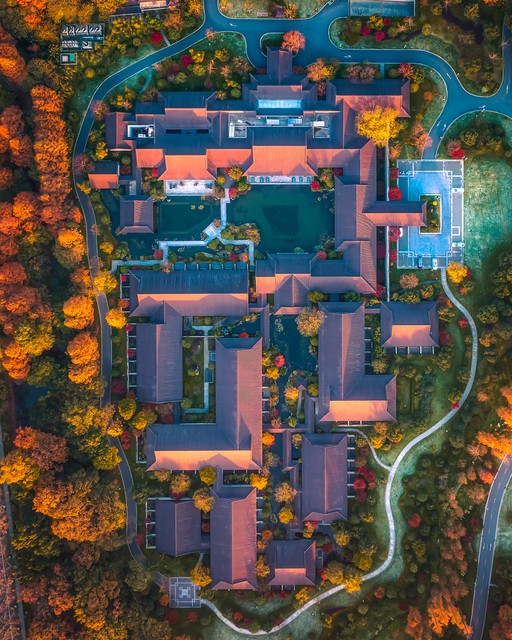 南京大学：从教育高地到红色记忆，南大人的热血与梦想