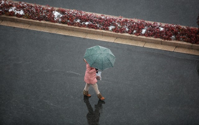 雨季为什么看不了？梅雨里的那些事儿