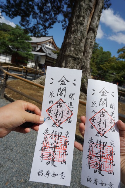 日本寄明信片到中国多久？揭秘跨国书信的奇妙旅程