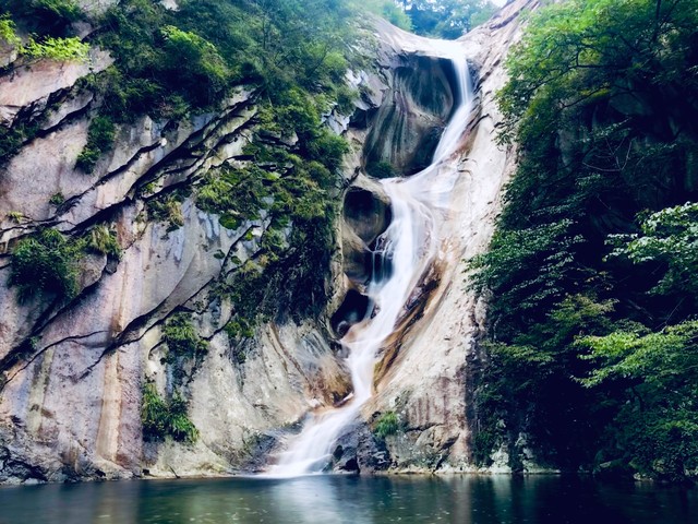 探秘西峡在什么地方：隐藏在中原大地上的绿色宝藏，等你来发现！