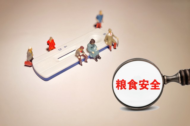 食品安全，你我共同的责任：如何守护餐桌上的健康？