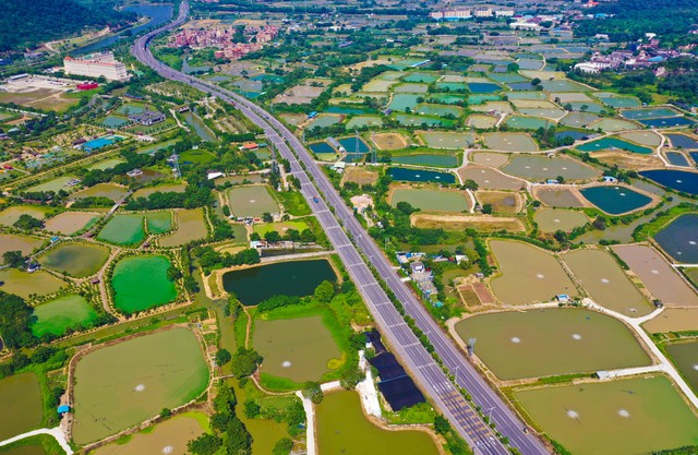 南海是哪个省的城市？揭秘这座充满魅力与活力的现代化都市