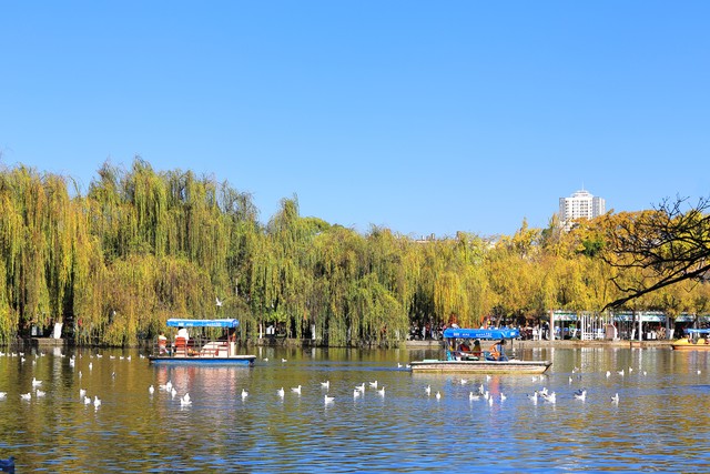 昆明十一月旅游攻略：从滇池的落日余晖到石林的奇幻探险，一场说走就走的旅行等你来探索