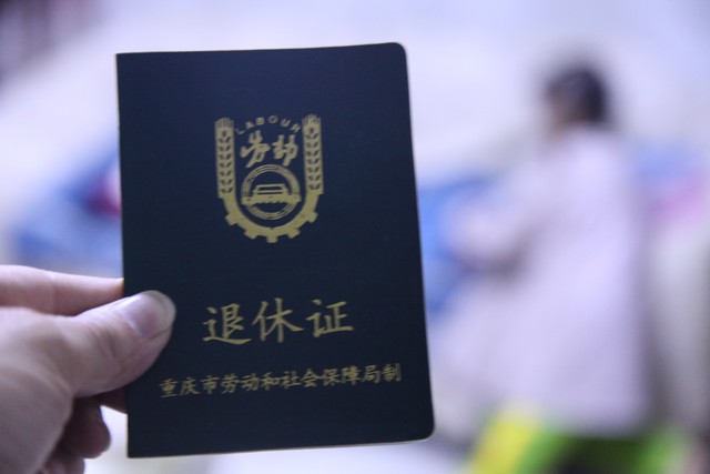 学生证怎么填？2024年最新最全的学生证填写攻略，让你轻松搞定所有细节，不再为学生证烦恼！