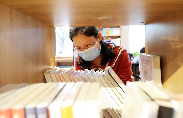 上海图书馆在哪个区？带你探访这座知识的宝库，感受书香气息，开启一场文化之旅！