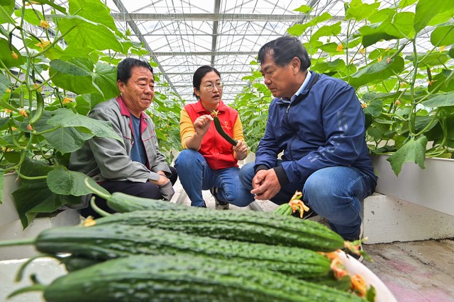 紫金农商银行怎么样：从“小信用社”到“大银行”的华丽转身，它究竟值不值得你信任？