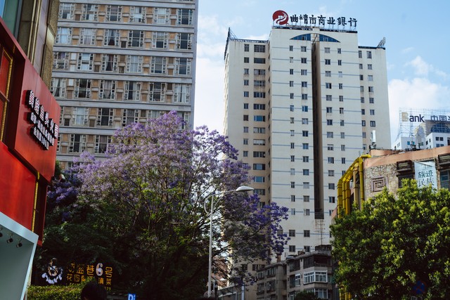 惊爆！你绝对想不到昆明云大医院电话号码竟然是这个，0871-65324888，从此看病挂号不再难！