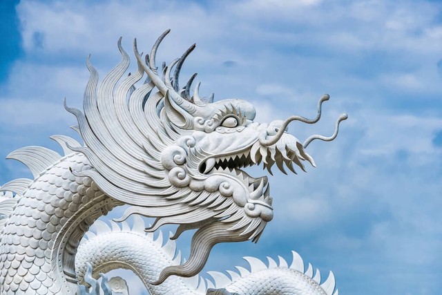 上海红星美凯龙怎么样？从繁华到重生，一家家居巨头的自我救赎之路