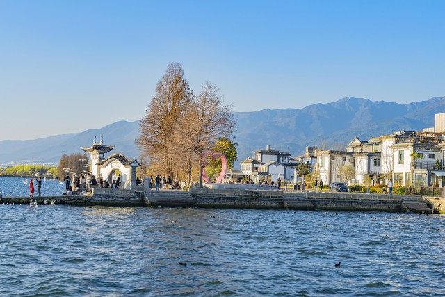 大理旅游观光车在哪儿？从大理古城出发，环洱海巴士带你畅游苍山洱海的每一处美景！