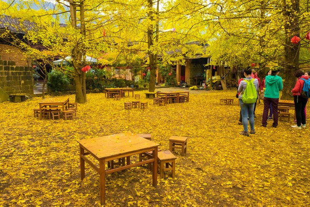 腾冲旅游会宰客吗？探秘腾冲旅游市场的真相与魅力，带你领略不一样的边陲风情