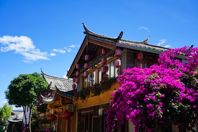 详细阅读:丽江旅游的住宿:从民宿到酒店,一场关于舒适与体验的华丽转身,探索古城内外那些不为人知的秘密,带你走进每一个角落,感受不一样的风情,发现隐藏在细节中的惊喜,见证丽江如何用独特的魅力征服每一位游客的心 丽江旅游的住宿:从民宿到酒店,一场关于舒适与体验的华丽转身,探索古城内外那些不为人知的秘密,带你走进每一个角落,感受不一样的风情,发现隐藏在细节中的惊喜,见证丽江如何用独特的魅力征服每一位游客的心