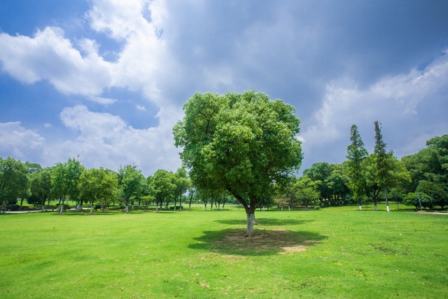 汕头著名景点有哪些？带你游遍这座海滨城市的魅力角落