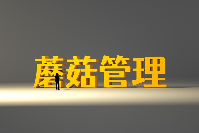 昆明会计公司排行榜新鲜出炉，谁是你的理想选择？揭秘昆明会计行业的最新动态，让你不再迷茫！