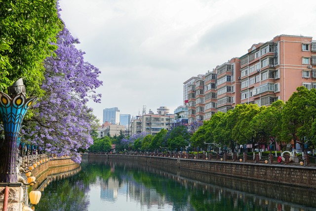 昆明的雨季能旅游吗？一场雨中漫步的奇妙之旅等你来探索
