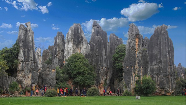 昆明儿童三日旅游攻略：带孩子玩转春城，体验自然与文化的完美结合，让孩子在快乐中学习成长，全家共享难忘时光
