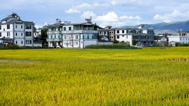 广西到云南旅游地图：一场说走就走的自驾之旅，从山水甲天下的桂林到神秘的香格里拉，2024最新路线与必打卡景点全攻略