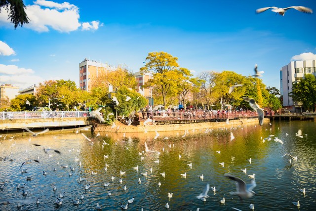 昆明旅游攻略：玩转春城美景，顺便批发新鲜水果带回家