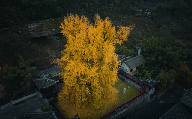 为什么天下黄河贵德清？揭秘青海贵德的清澈奇迹