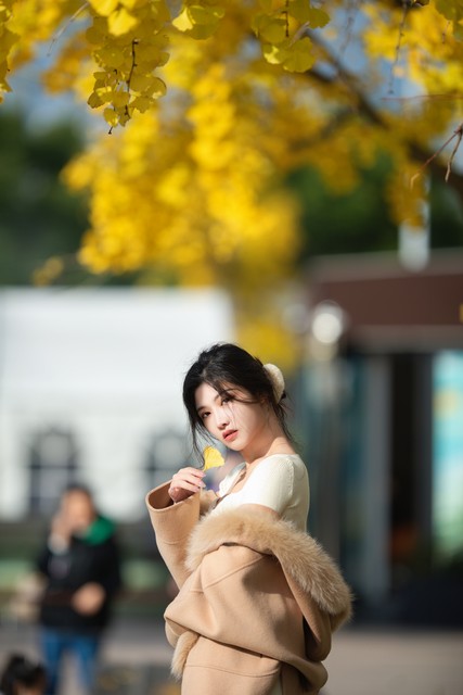 元宵节北京哪里好玩？赏灯、逛庙会、看展览，这些地方让你感受不一样的元宵氛围！
