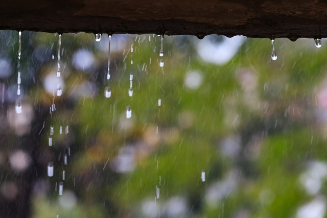 这波雨水：当城市在水幕中苏醒，我们与自然共舞的那一刻