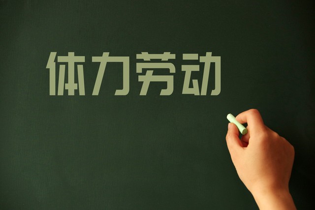 秘籍大公开：如何在2024年成为SEO达人，轻松驾驭搜索引擎优化，让流量爆棚！