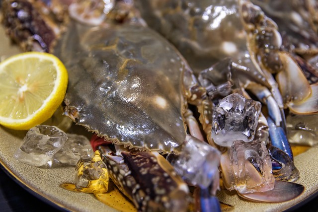 连云港吃海鲜哪里好，海鲜老饕们的秘密基地大揭秘，带你走进江苏海鲜第一大市的美味之旅