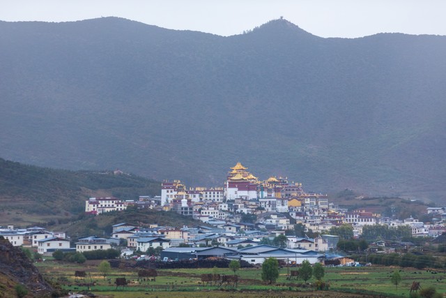 自贡到昆明旅游线路：从千年盐都到春城的精彩旅程，不容错过的绝美风光