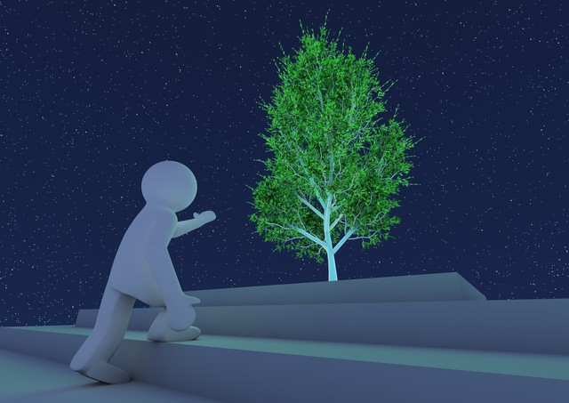 下午到乌镇怎么安排？从东栅的博物馆探秘到西栅的浪漫夜游，一场江南水乡的文化盛宴正等着你