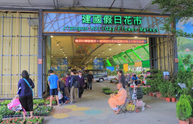 昆明自费旅游攻略：如何用最实惠的价格玩转这座四季如春的城市，从滇池到石林，再到官渡古镇，每一个角落都充满惊喜