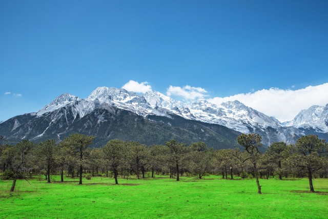 丽江自由行旅游景点攻略：从古城到雪山，从湖畔到古镇，探索最真实的丽江风情