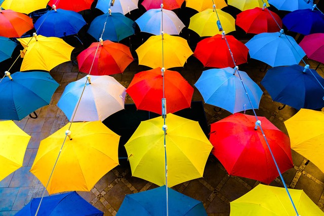为什么雨伞要托运？揭秘机场安检背后的秘密，让你不再为一把伞烦恼