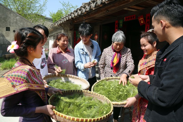 探寻千年茶香：从古老茶园到现代杯盏，一段跨越时空的茶文化之旅 | 中国茶叶的前世今生 | 茶农后代讲述家族传承的秘密 | 茶叶如何影响了世界历史
