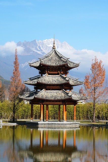 丽江林海苑二期：从居民的真实生活到房产市场的热门焦点，这里藏着你不知道的故事