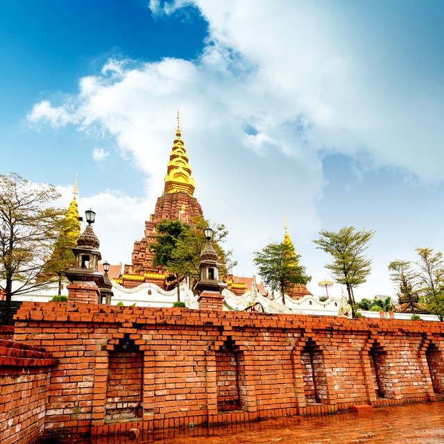 西双版纳6天旅游攻略：热带雨林里的奇幻冒险，带你遇见不一样的云南